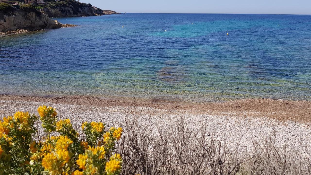 Mama Cocha 8 Minutes A Pied Des Plages *